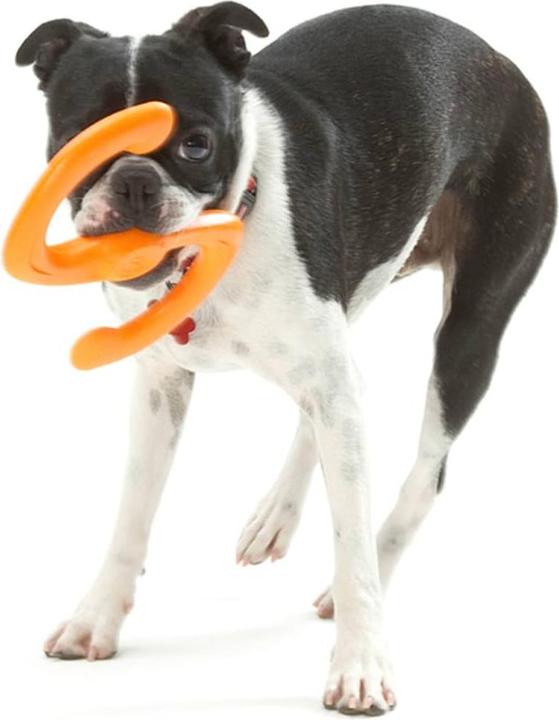 Produktbild West Paw Bümi S Hundespielzeug (Kauspielzeug Hund)