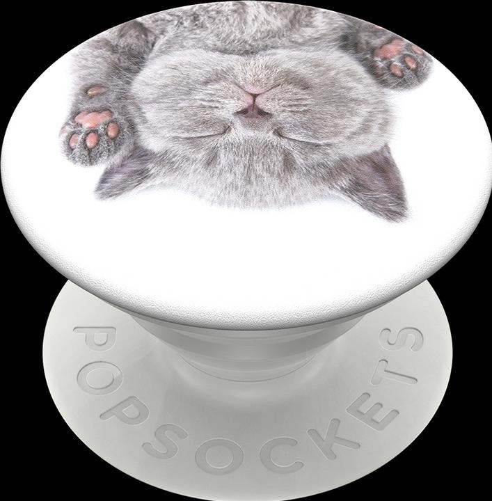 Actual product image PopSockets cat nap