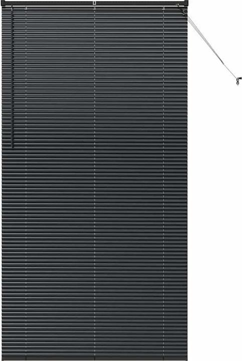 Image du produit VidaXL Fensterjalousien (110 x 220 cm)