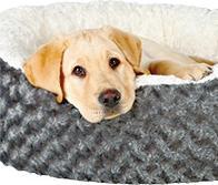 Produktbild Trixie Vital Liegematte Bendson (Hund)