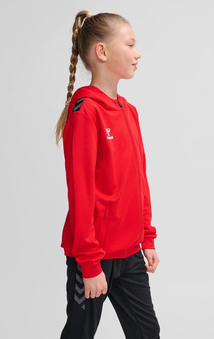 Produktbild hummel Hmlauthentic Pl Zip Hoodie Kids (164)