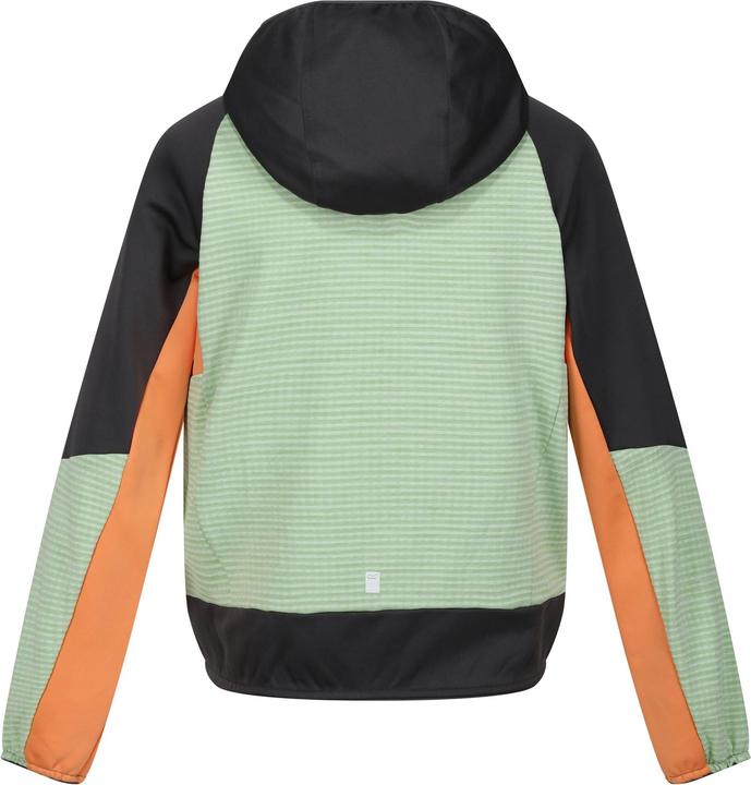 Produktbild Regatta Prenton II Softshelljacke mit Kapuze (116)