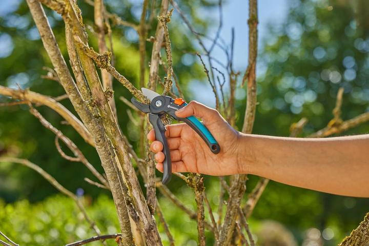 Image du produit Gardena Gartenschere PremiumCut Trockenes Holz