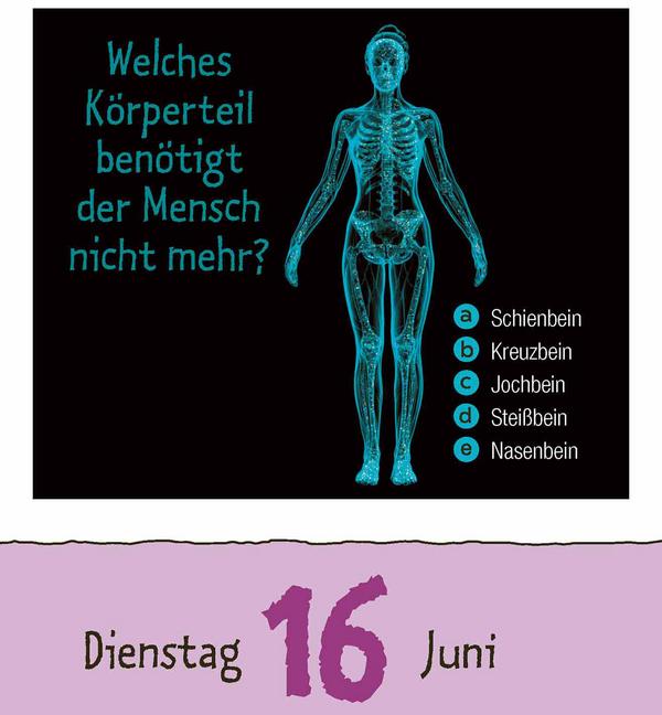 Produktbild Vorsicht Geheimwissen 2026 (12 x 16 cm)