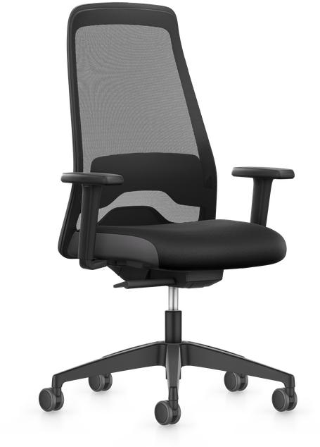 Interstuhl EV257 (41.50 - 54 cm)