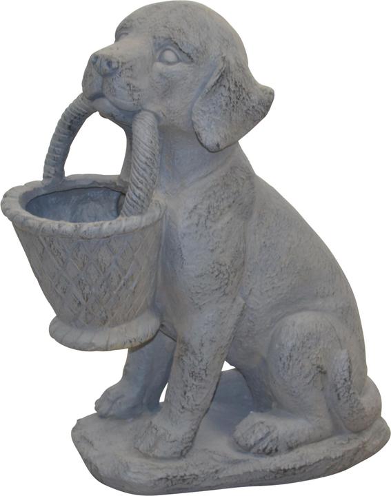 Produktbild Möbel Direkt Online Hund