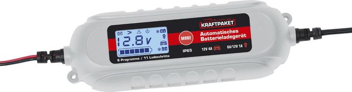 Actual product image Dino Battery charger (6V, 12V, 0.80 A)