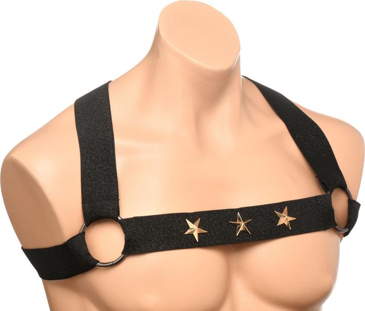Actual product image Master Series XR Brands - Chest Harness with Armbands - Black