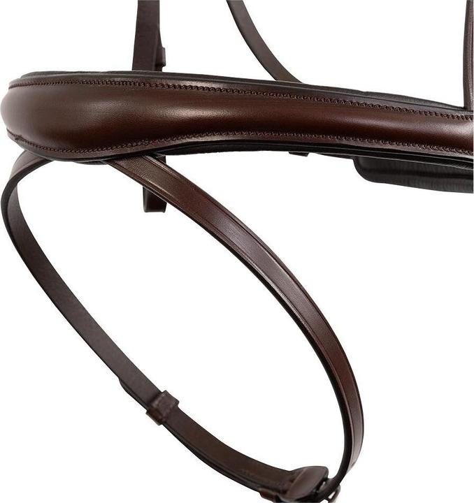 Produktbild BR Equestrian Equipment Credition