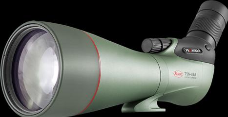 Kowa TSN-99A PROMINAR + TE-11WZ II (30-70x)