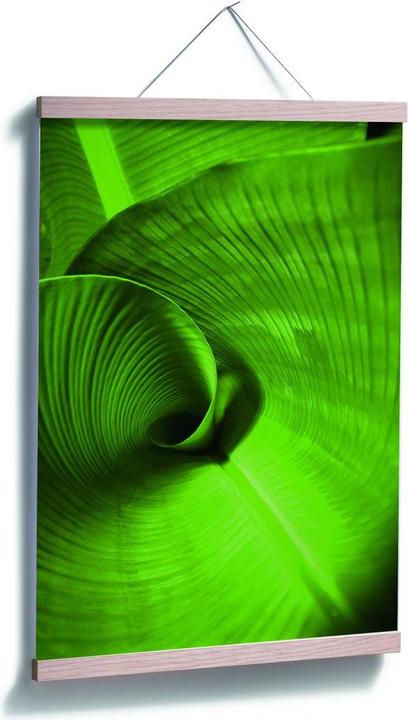 Produktbild Trenddeko Bananenblatt (40 x 60 cm)