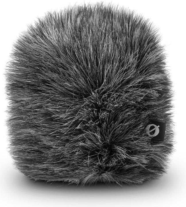 Microphone windshield