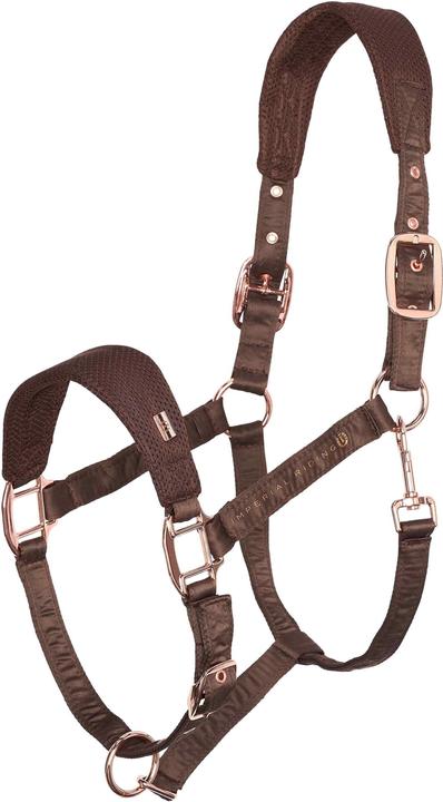 Produktbild Imperial Riding Cloud Dancer