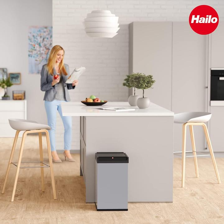 Image du produit Hailo Big-Box Swing (40 l)