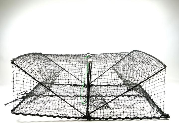 Immagine prodotto Ragot rete da pesca