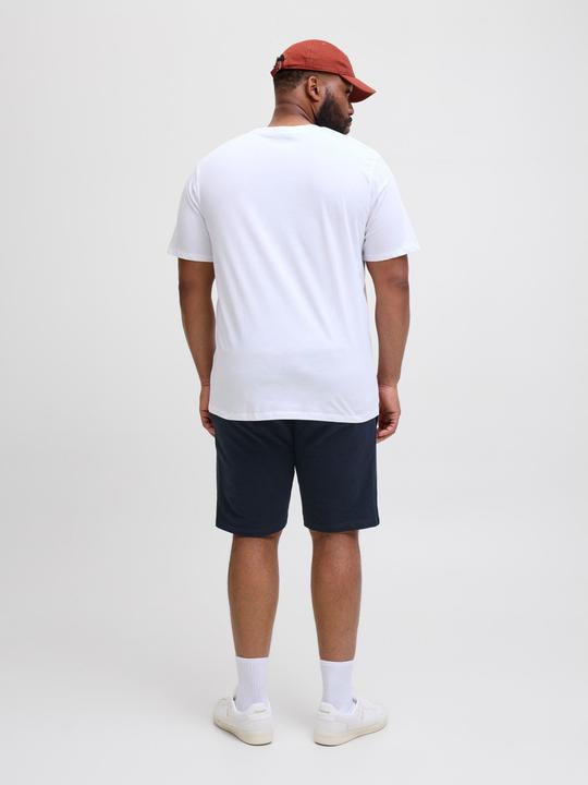 Produktbild Jack & Jones Plus Size Regular Fit Regular Fit Shorts Regular Fit Shorts