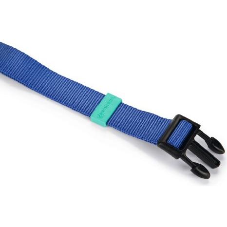 Thumbnail - Beeztees BZ NYLON HALSBD UNI BLAU 48-70 (48, 49, 50, 52, 54, 56, 58, 60, 62, 68, Hund, Allgemein), Halsband + Leine
