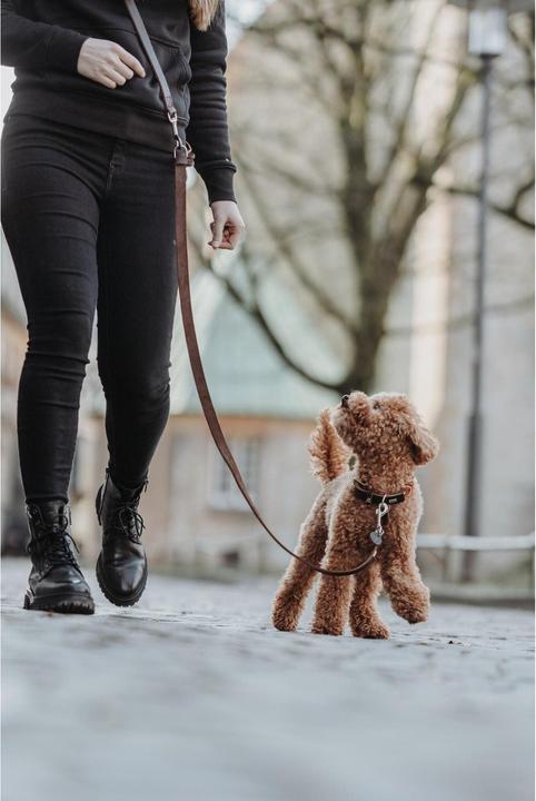 Image du produit Hunter Laisse en bandoulière Aalborg (Chien, Promenade)