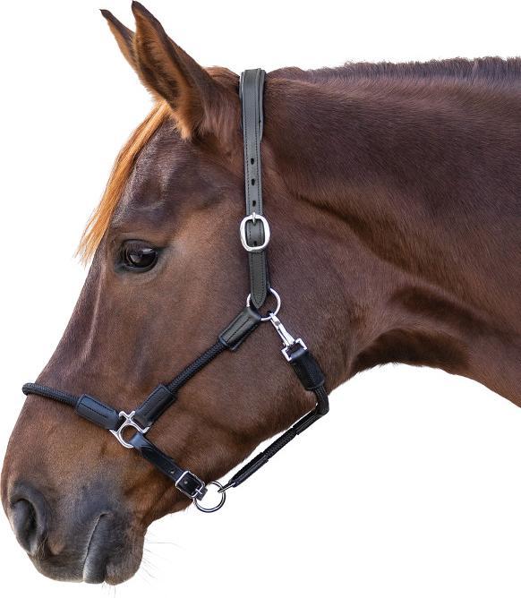 Immagine prodotto Waldhausen Nevada