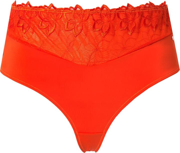 Actual product image TruYou Thong Panties, Lace, Microfiber (50, 52)