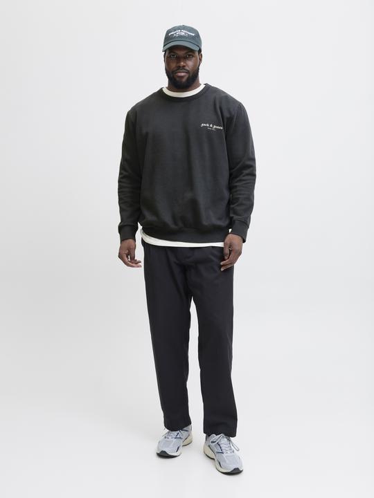 Actual product image Jack & Jones Plus Size Gedruckt Sweatshirt Sweatshirt (4XL)