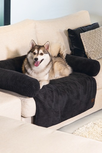 Productafbeelding Designed by Lotte Bankkussen Geribd (Hond)