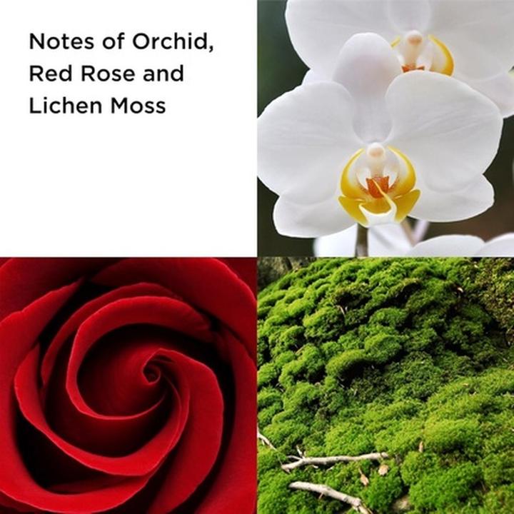 Immagine prodotto Elizabeth Arden Red Door Revealed Eau De Parfum Spray 100ml Floral Fragrance (Eau de parfum, 100 ml)