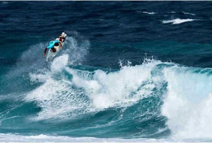 Image du produit Nixon Assiette Time Acetate Tortoise (Montre analogique, 37 mm)