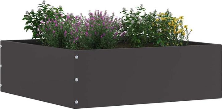 Produktbild vidaXL Gartenumrandung (60 cm)