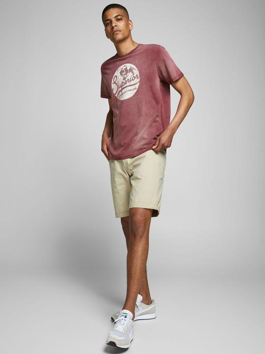 Image du produit Jack & Jones Regular Fit Shorts Shorts (S)