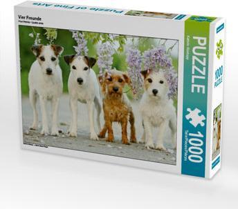 Köntopp:Vier Freunde, 1000 Teile (1000 Teile)