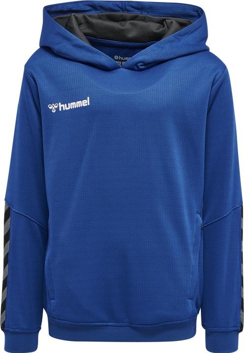 Image du produit hummel Sweat à Capuche Authentique Pour Enfants (116)