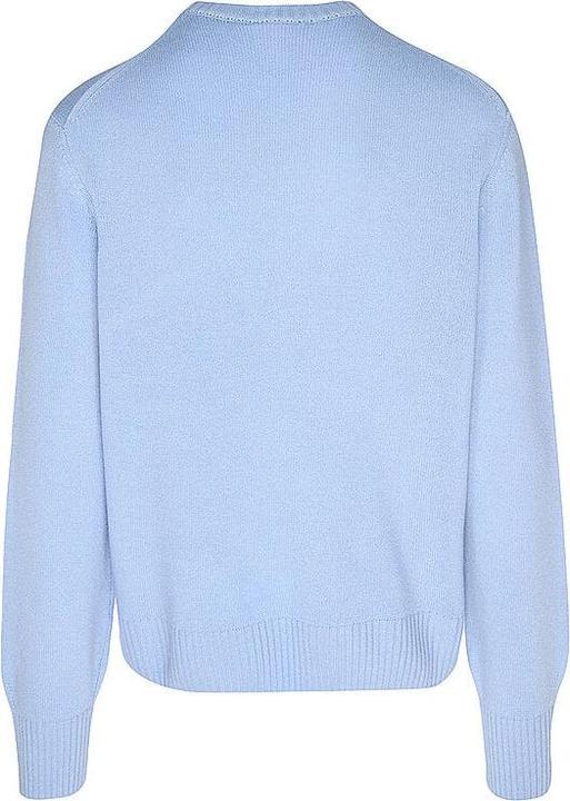 Actual product image Lacoste Jumper (XXL)