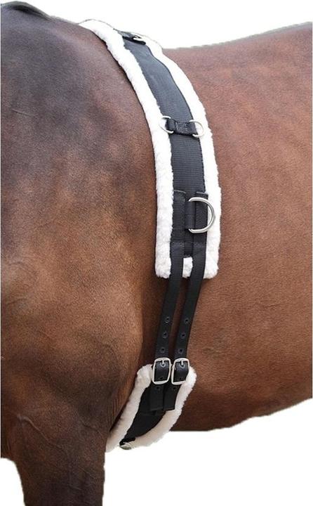 Produktbild Shires Longiergurt Nylon