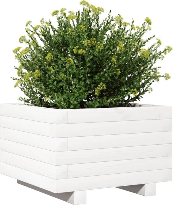 Produktbild vidaXL Pflanzgefäss