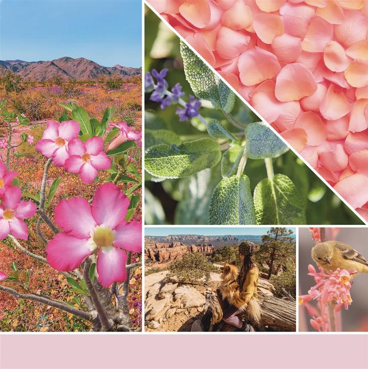 Produktbild Yankee Candle Desert Blooms