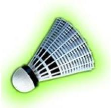 Image du produit Yonex Mavis 350