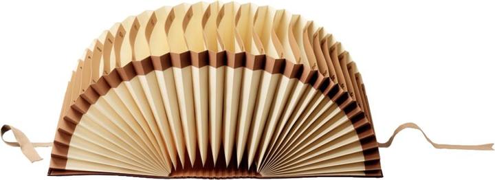 Produktbild Leitz Schriftenordner (A4, 1 x)