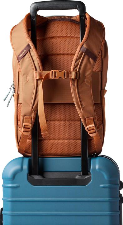 Immagine prodotto Cotopaxi Allpa Daypack (18 l)