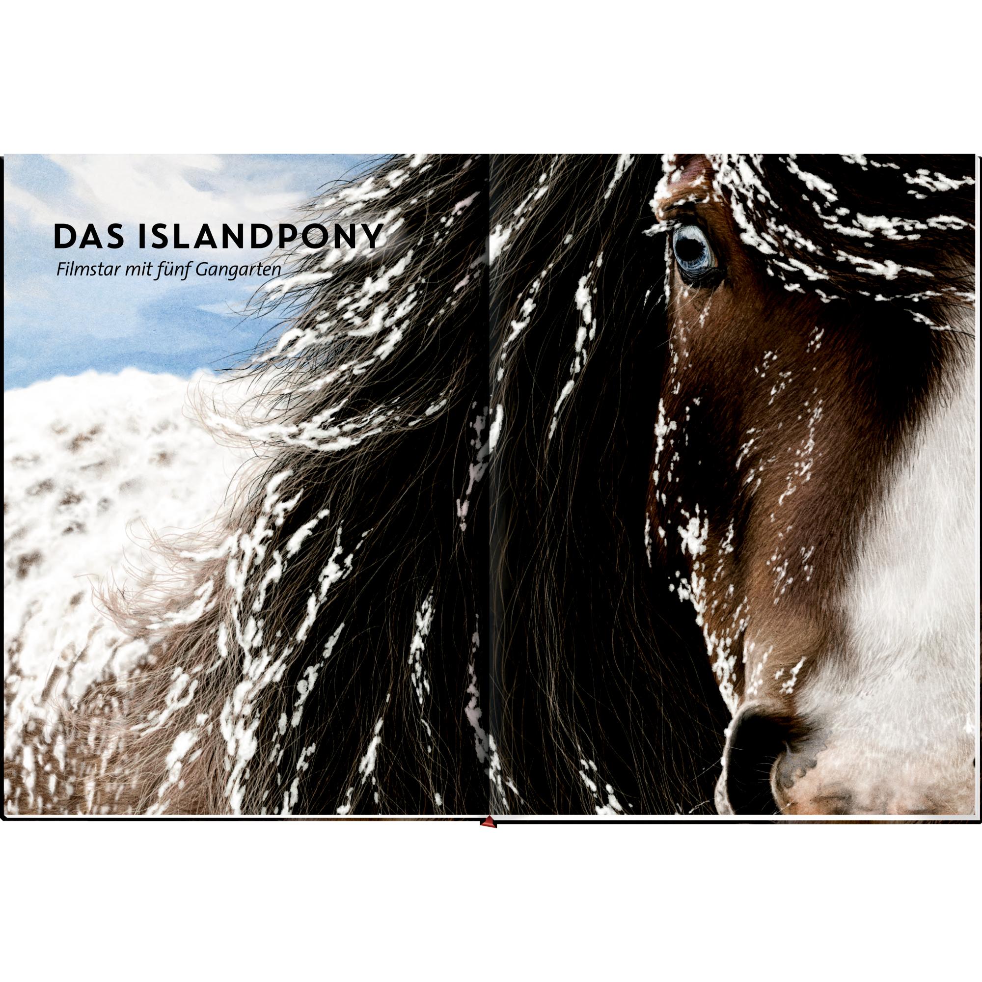 Thumbnail - Lebensgross, Kinderbücher von Susan Niessen, Julia Gerigk