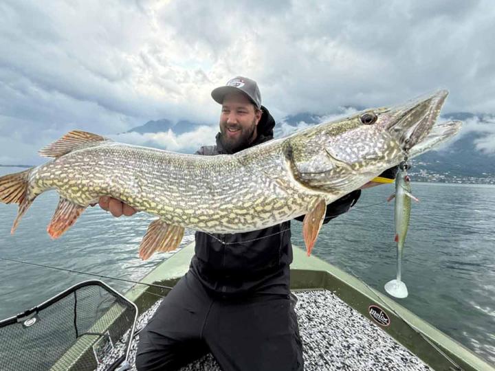 Immagine prodotto Stucki Fishing Real Rider Paddle Tail Big (17 cm)