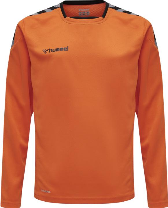 Produktbild hummel Authentic Kids Poly Jersey L/S (176)