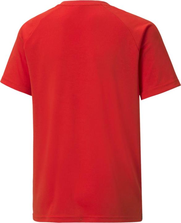Immagine prodotto Puma maglia a righe teamLIGA Jr-704927 (116)