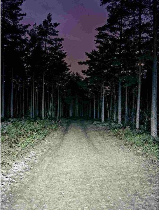 Produktbild Bookman Volume 800 (800 lm)