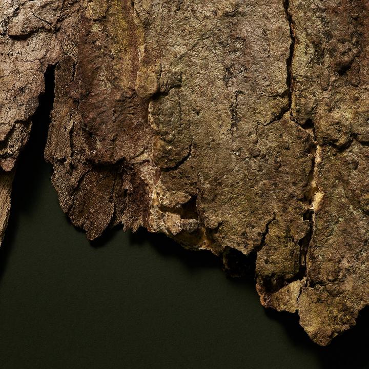 Actual product image Babor MICROBIOMIC - BB Cream Light Spf20 (Light)