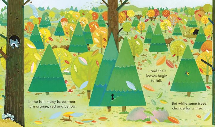 Produktbild Forest (Englisch, Anna Milbourne, 2019)
