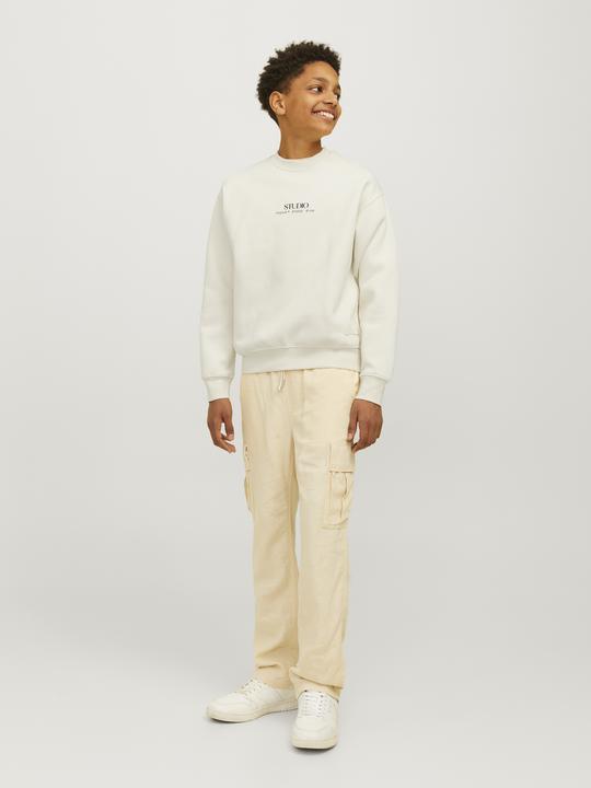 Actual product image Jack & Jones Printed Sweatshirt For Boys Sweatshirt (164)