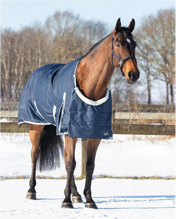 Produktbild Qhp Brustschutz Ontario