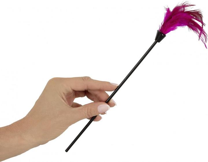 Actual product image Pipedream Ultimate Bondage Kit