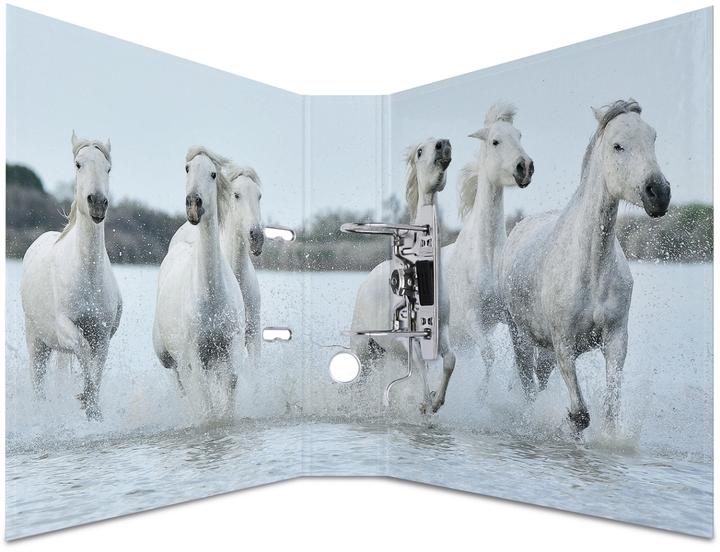 Image du produit HERMA Dossier A4 Motif (A4, 70 mm, 1 pcs)